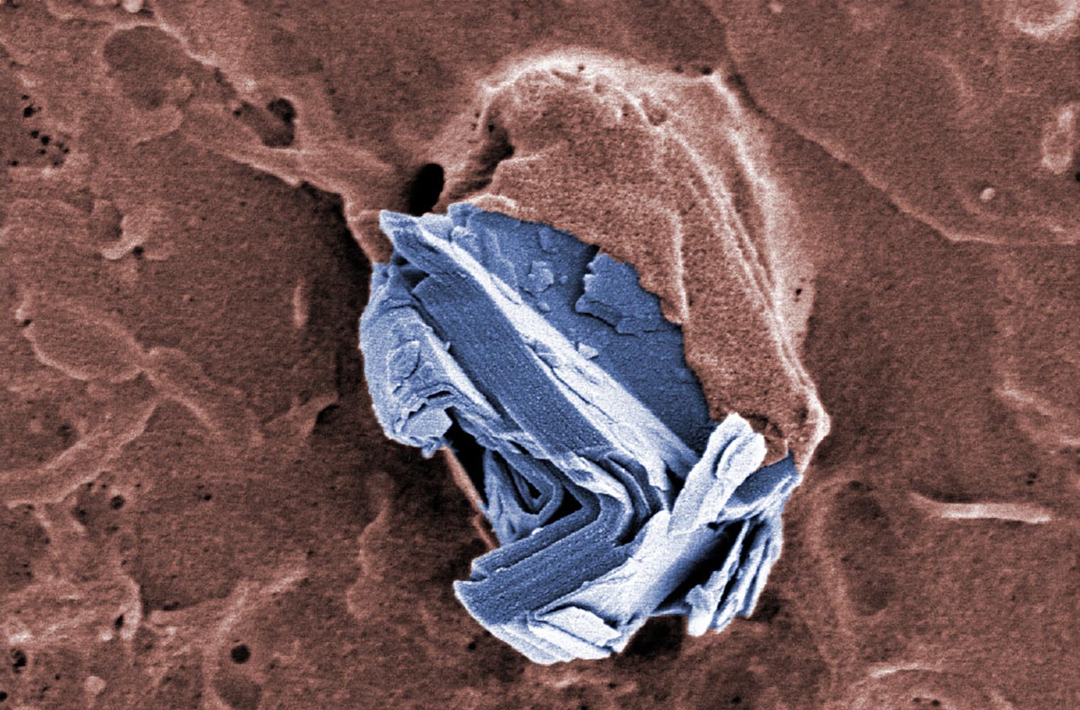 Graphene-Health-and-Environment.jpg