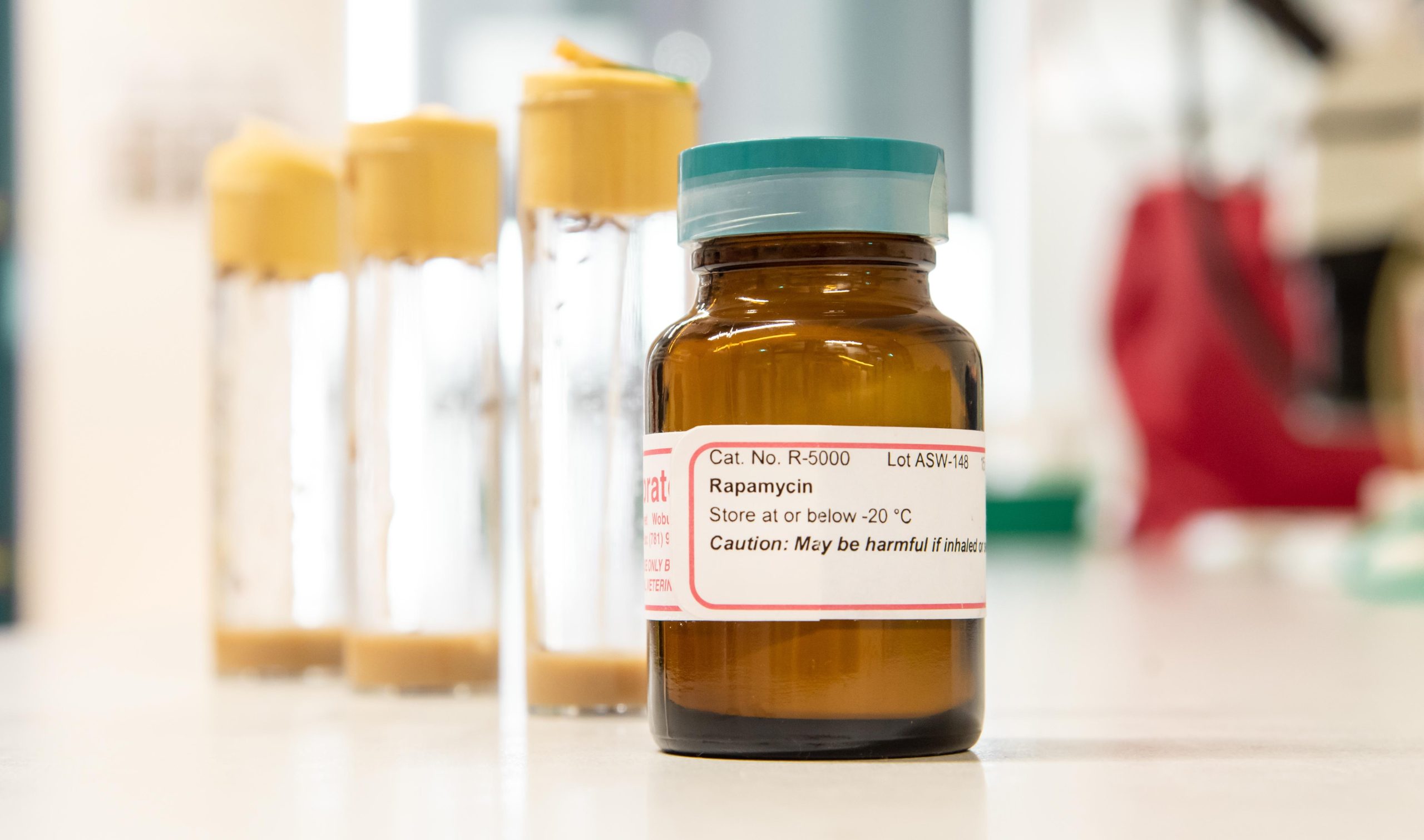 Rapamycin-Bottle-scaled.jpg