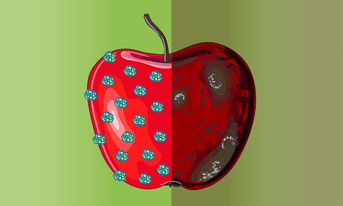 Antibacterial-Produce-Coating.jpg