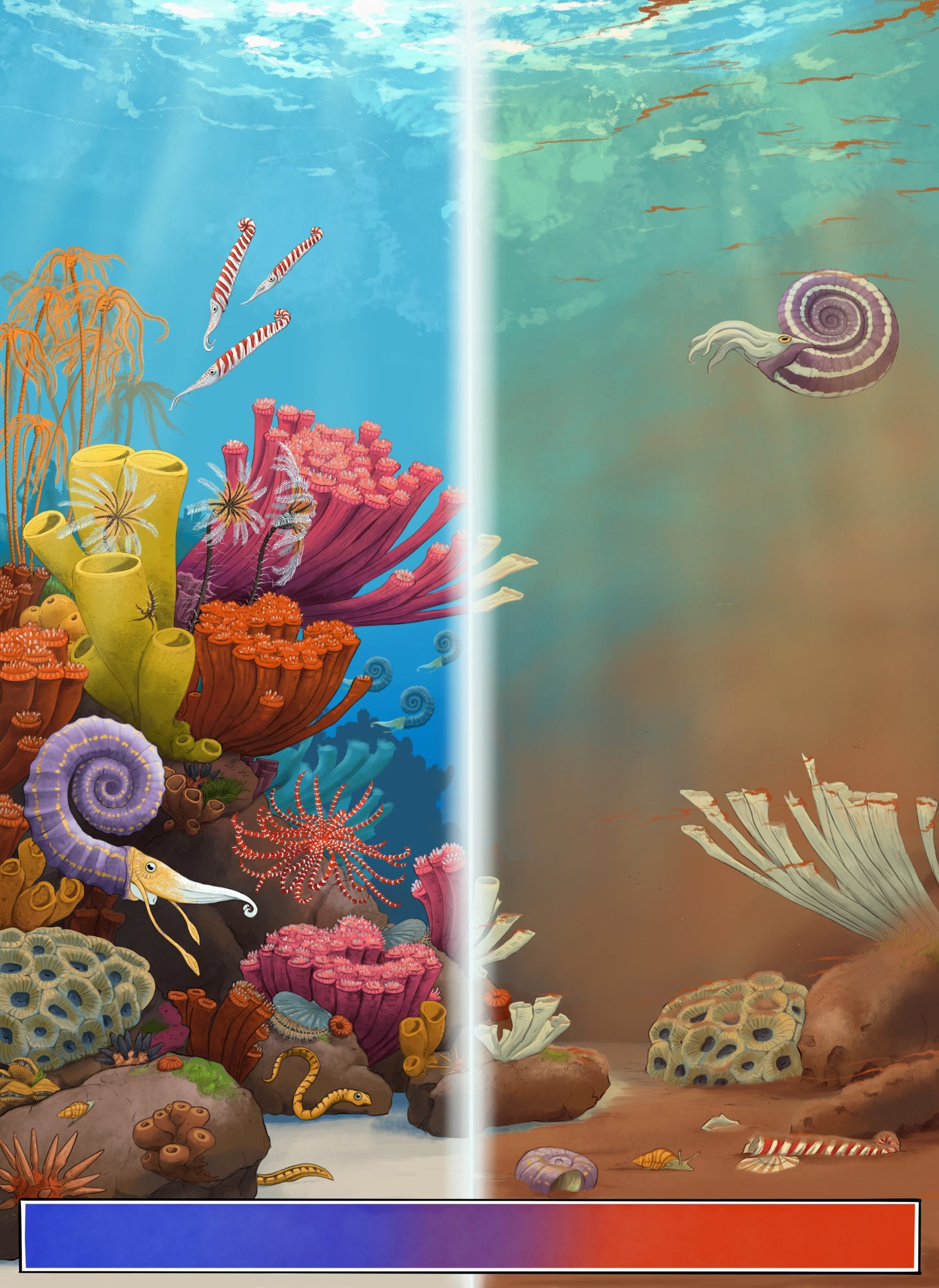 Reef-Pre-and-Post-Extinction-Event-scaled.jpg