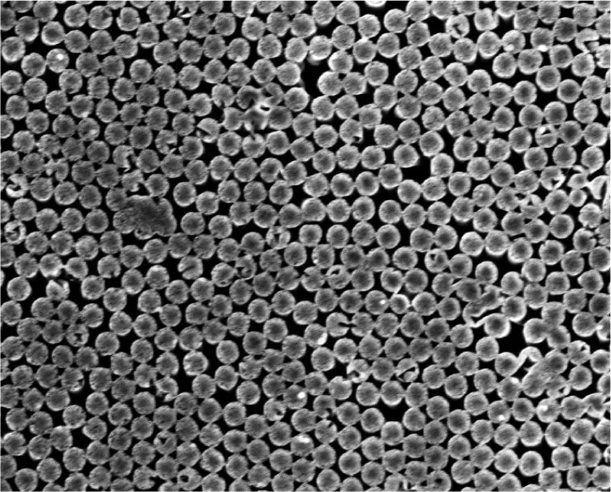 Scanning-Electron-Microscope-Image-of-Silicon-Nanopillars.jpg