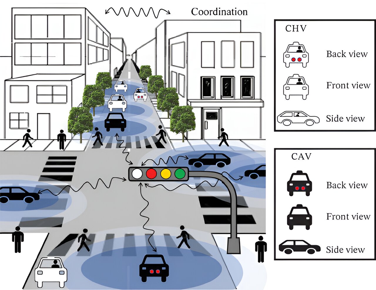 new-traffic-signal-wou.jpg