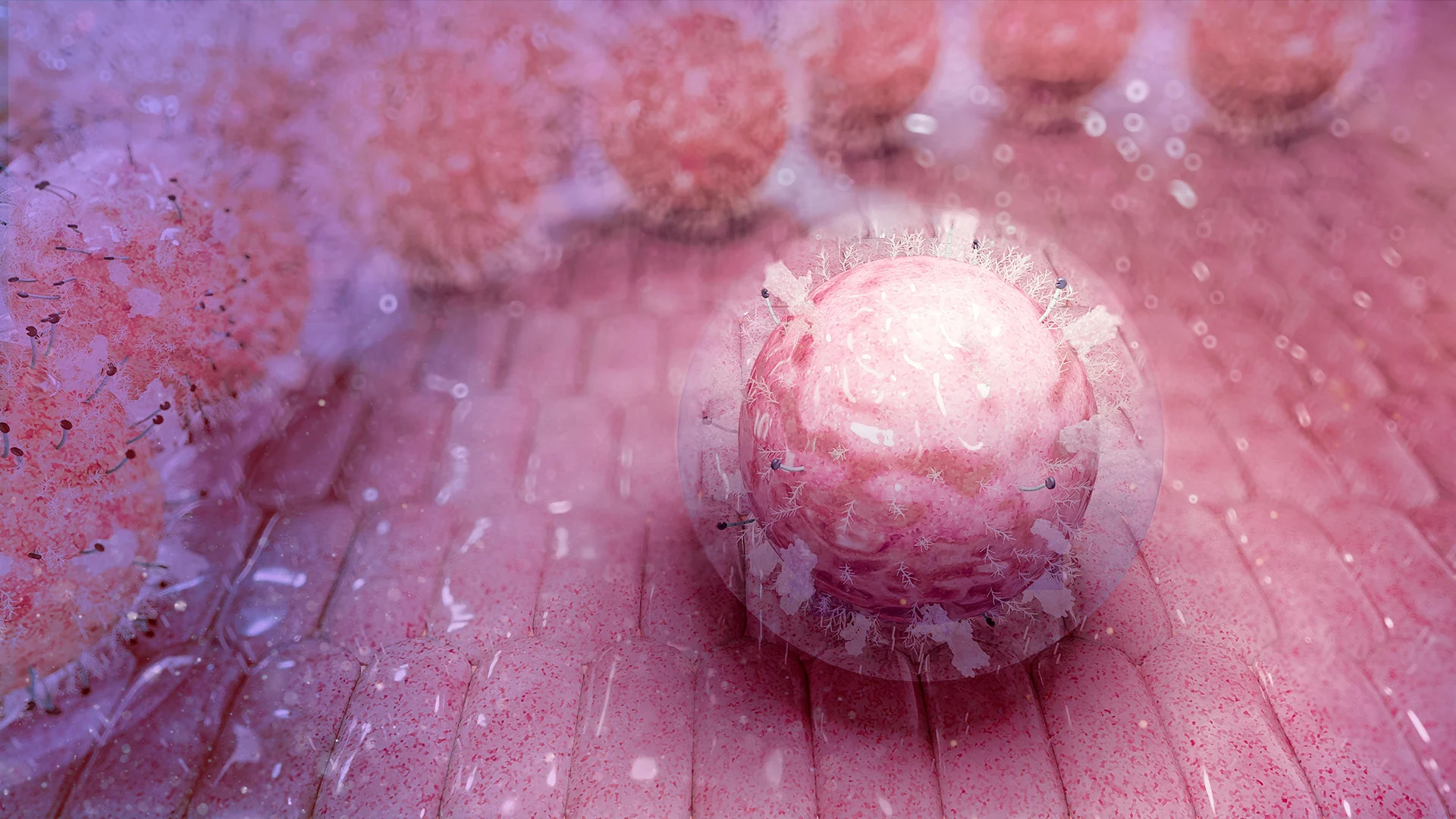 Stem-Cells-Found-in-Umbilical-Cord-Blood_jpg_92.jpg