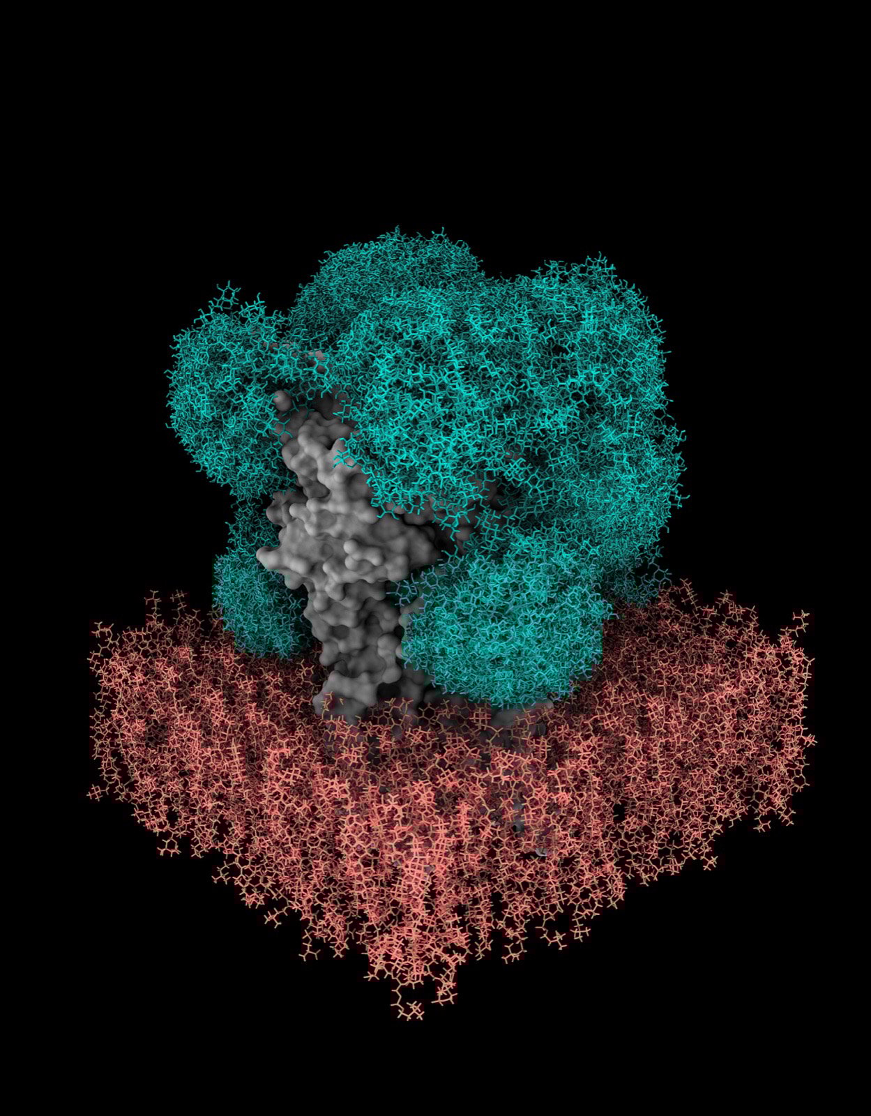 Sugar-Shield-on-the-GABAA-Receptor-IMAGE.jpg
