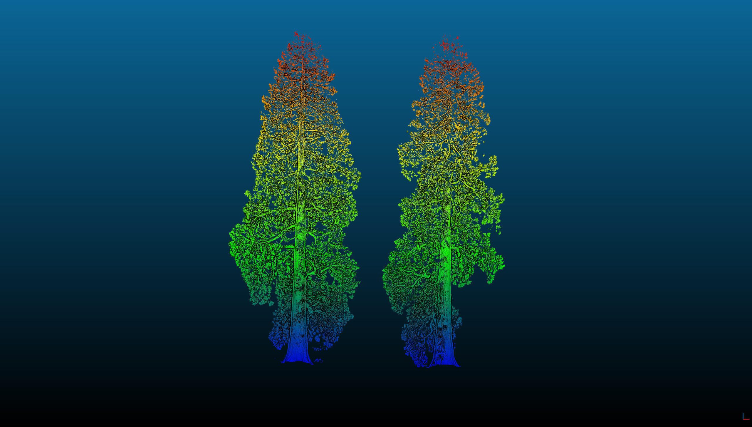 3D-Laser-Scan-of-Two-Giant-Sequoias-scaled.jpg