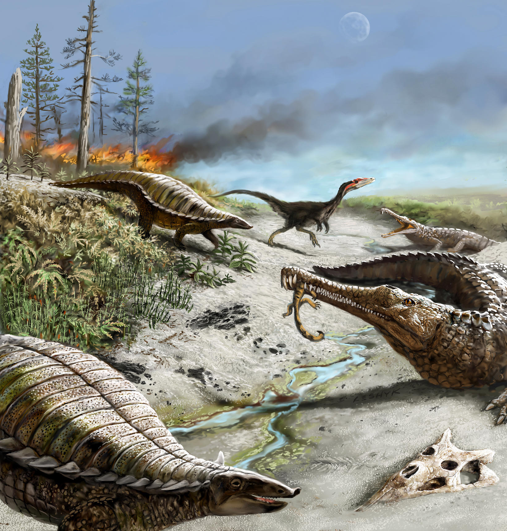 Reconstruction-of-a-Late-Triassic-Ecosystem-From-Ghost-Ranch_jpg_92.jpg