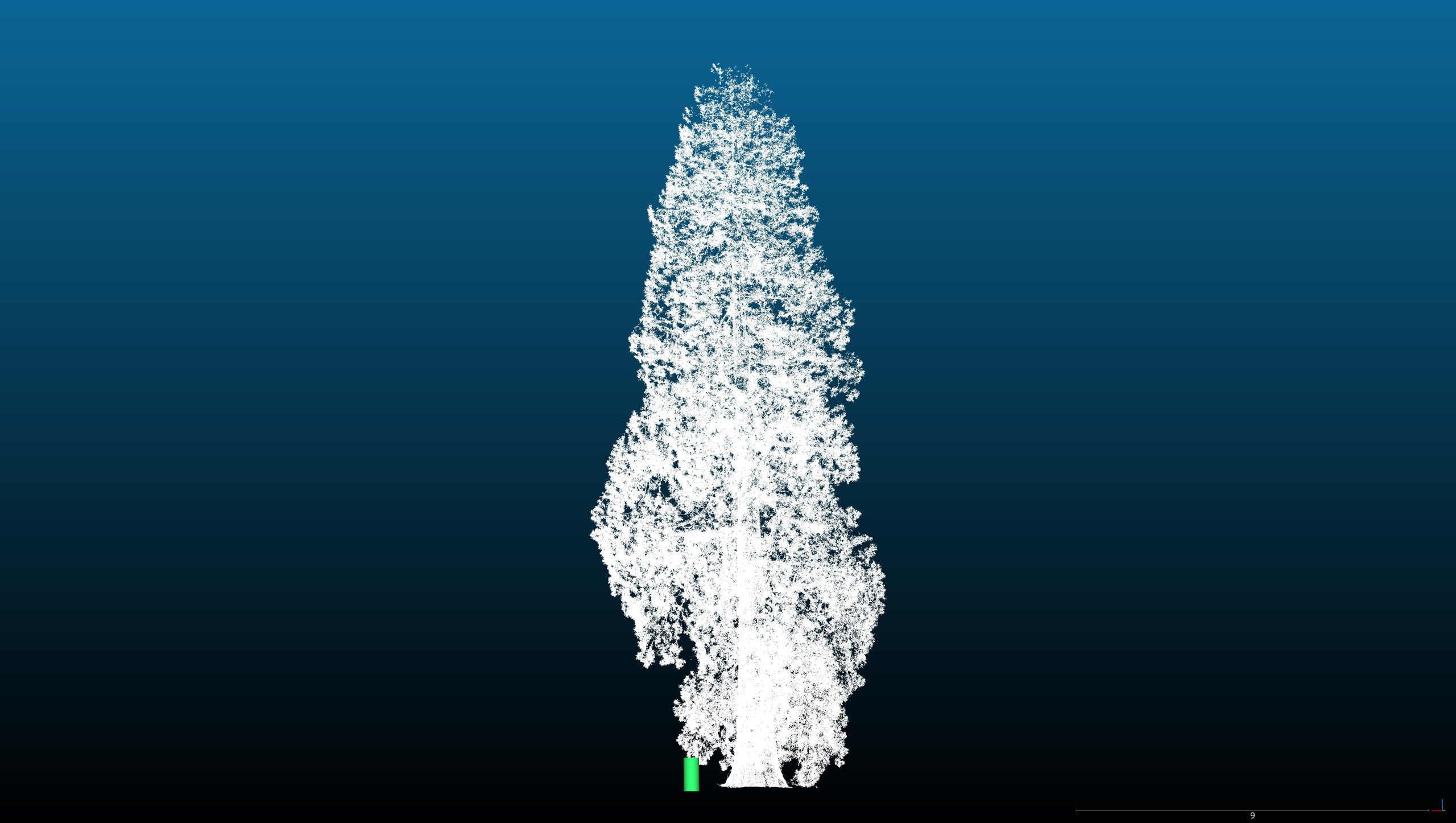 3D-Laser-Scan-of-a-Giant-Sequoia-With-a-Green-Block-To-Represent-the-Height-of-a-Person-scaled.jpg