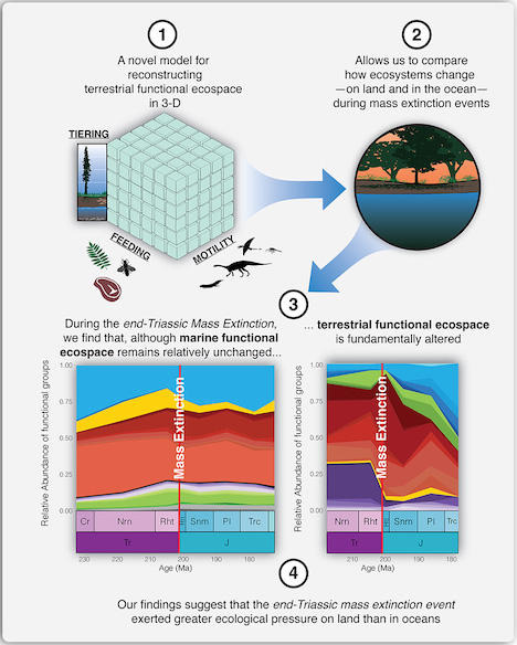 Mysteries-of-Earths-Ancient-Mass-Extinction-Event-Revealed-Study-Graphic_jpg_92.jpg