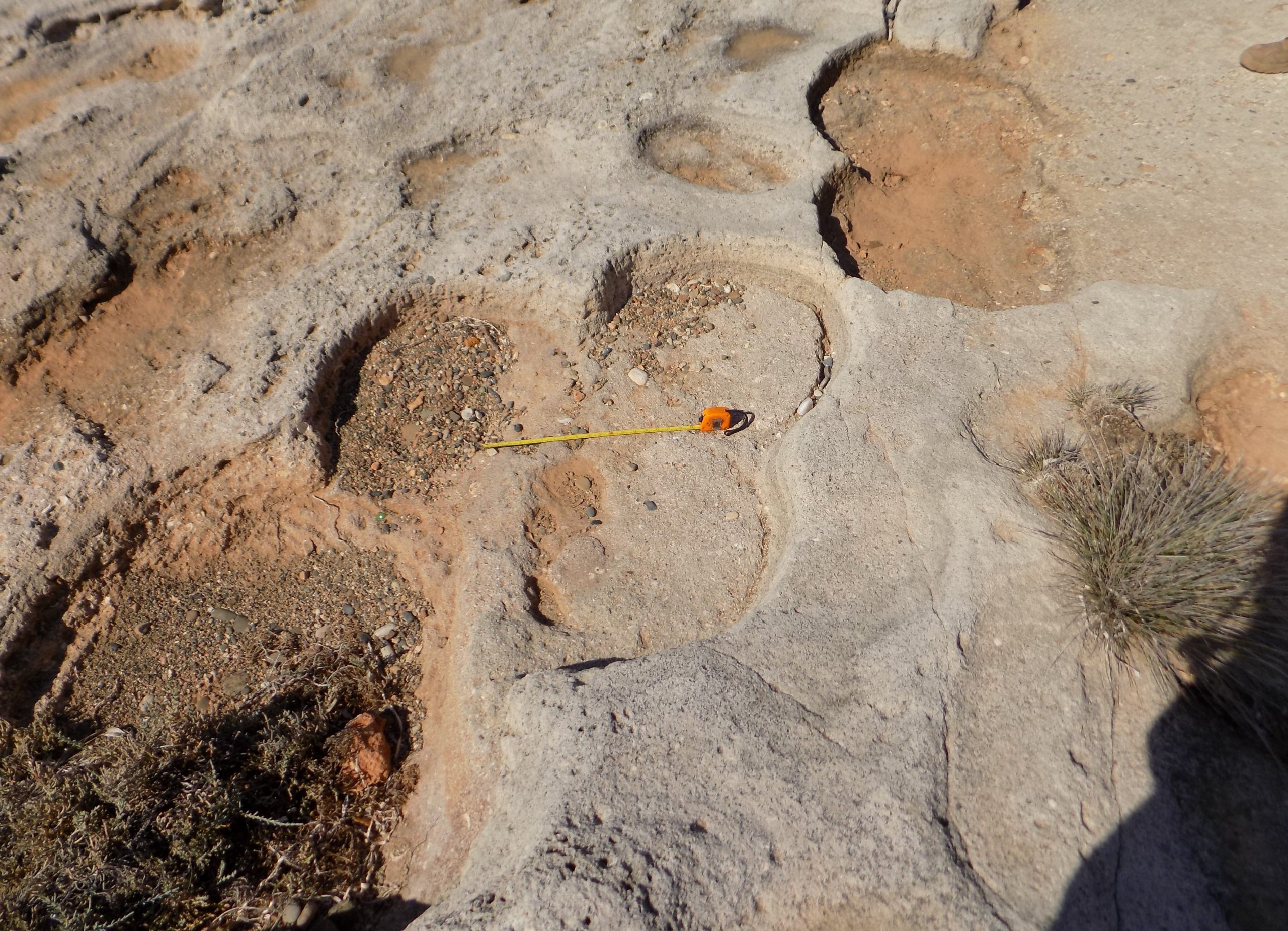 Adjacent-Grinding-Stone-Removals-at-Ormideia-Leaving-a-Clover-Leaf-Shape-scaled.jpg