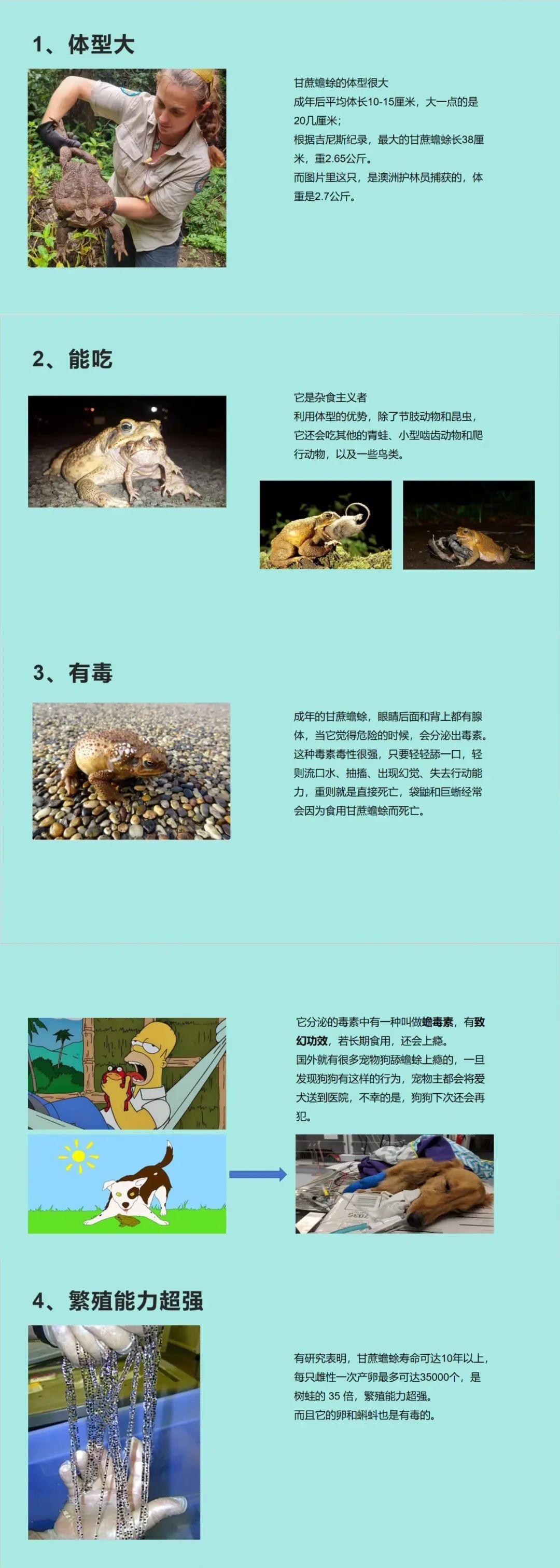 6cc67ae9-f23b-4c62-8324-bef29d016cd5.jpg