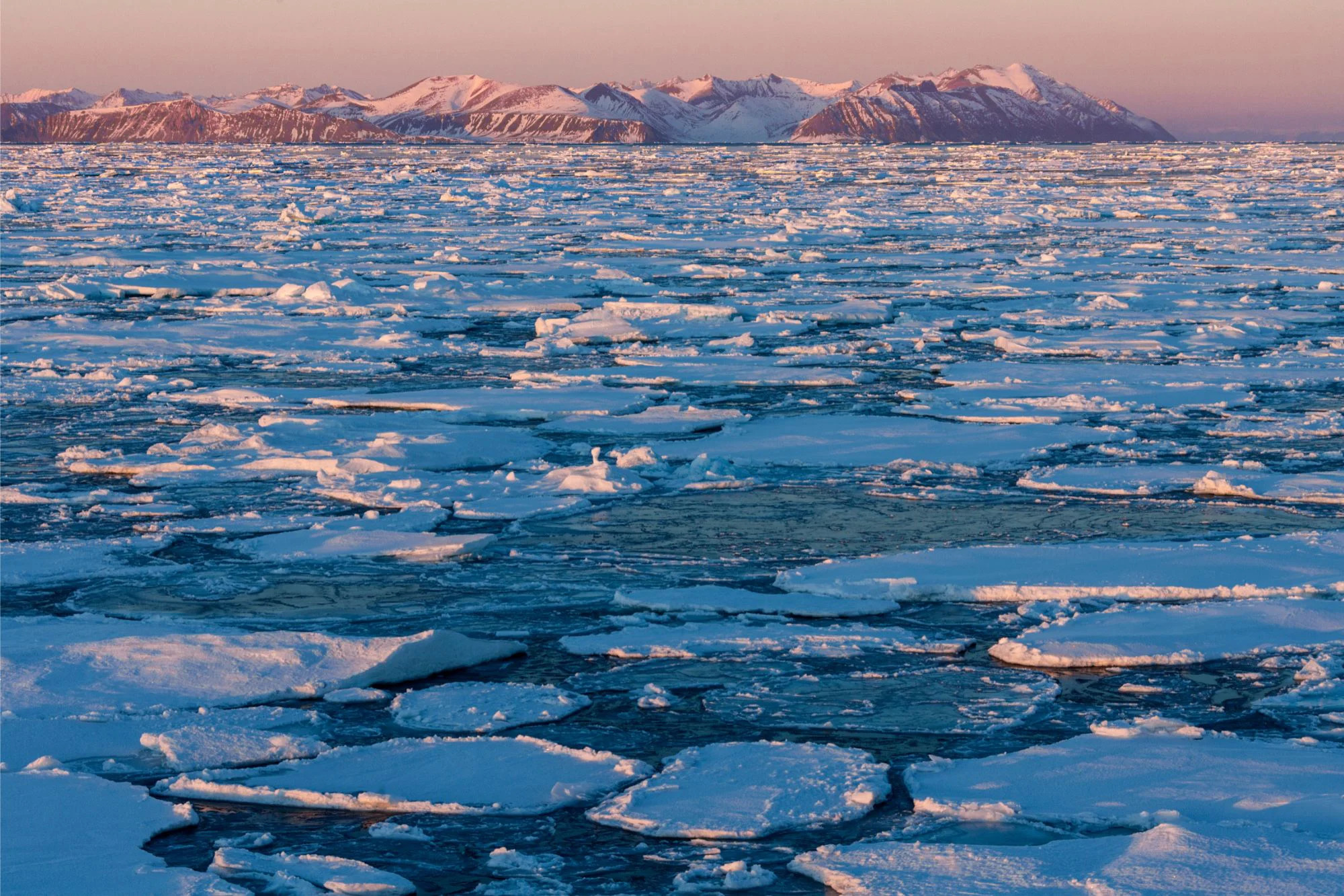 Sea-Ice-Greenland_jpg_92.jpg