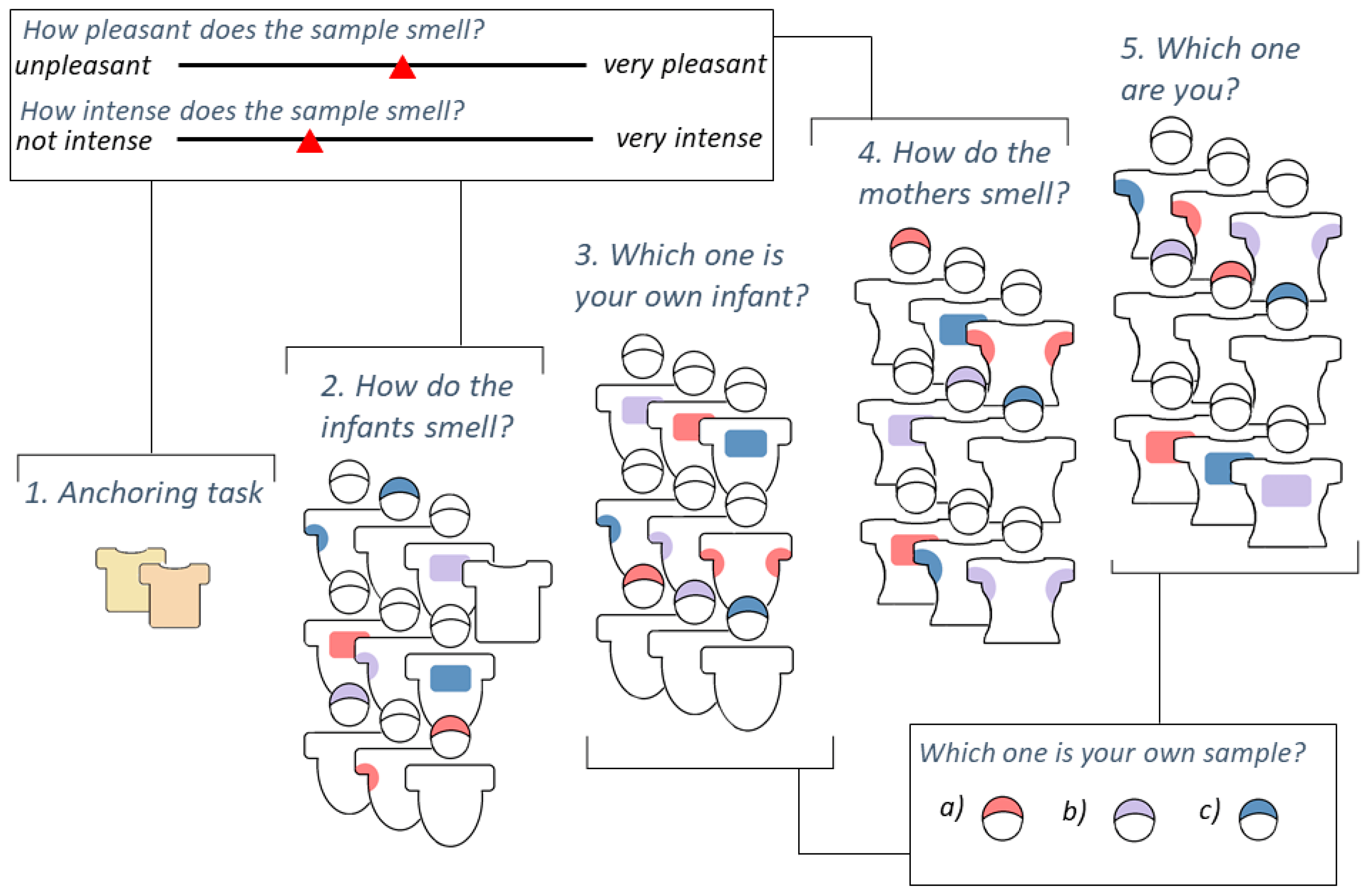 brainsci-11-00820-g001.png