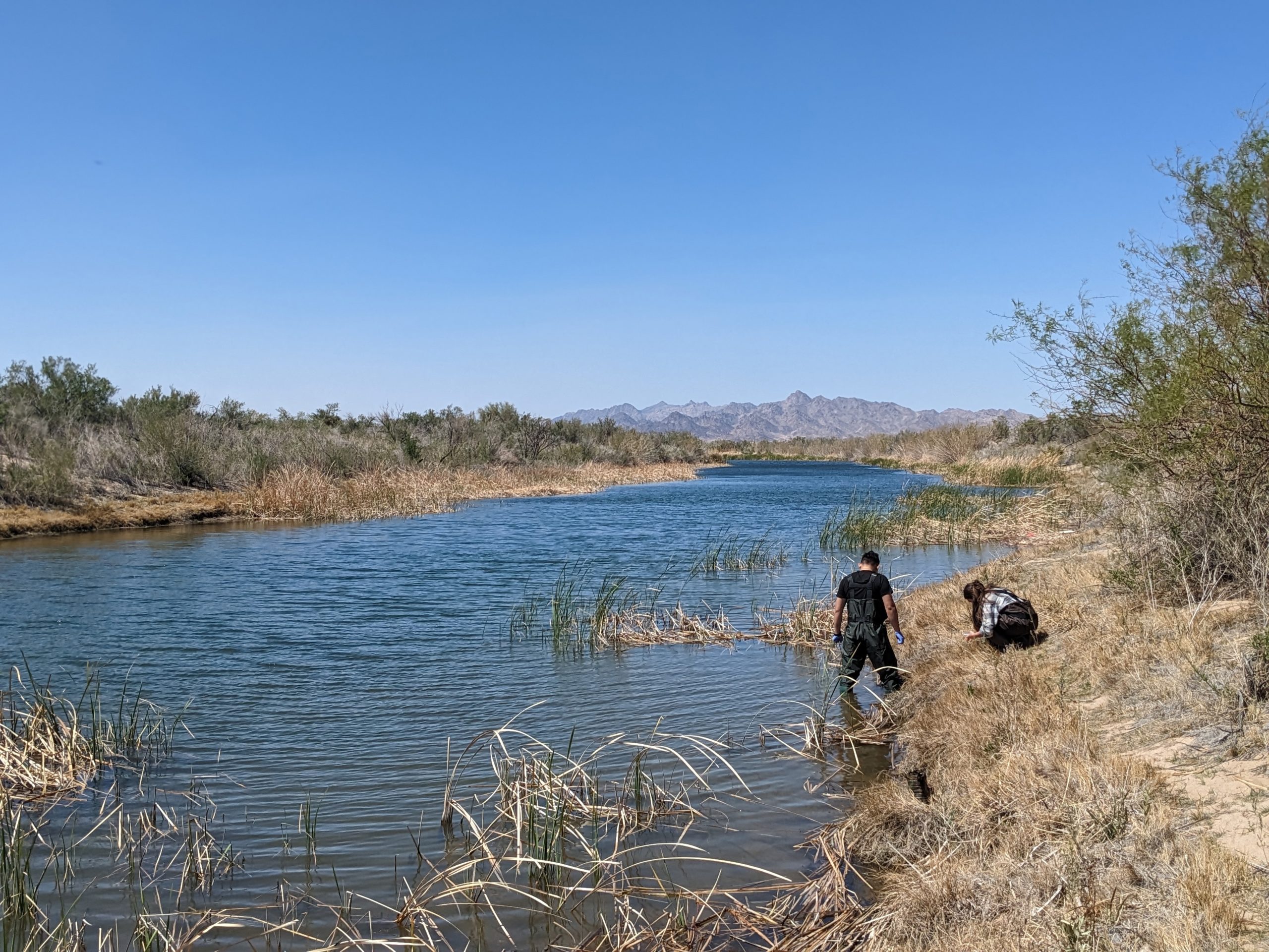 UC-Riverside-Researchers-Collecting-Samples-From-the-Colorado-River-scaled.jpg