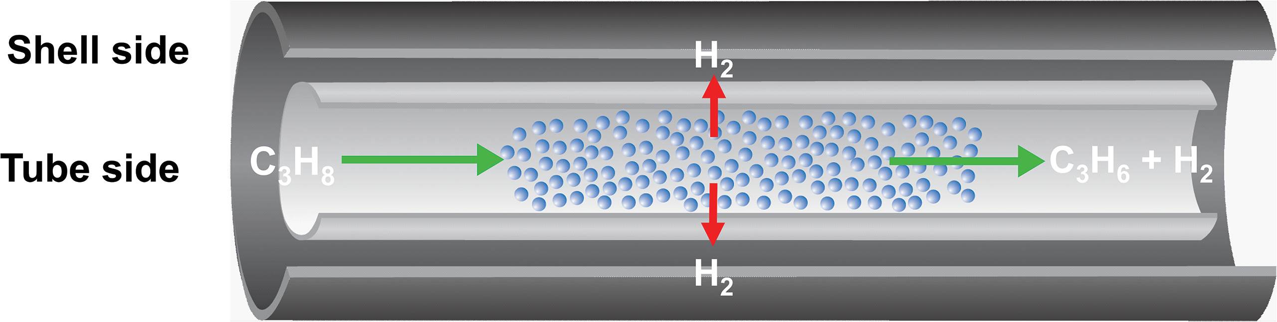 Reactor-Membrane-Diagram.png