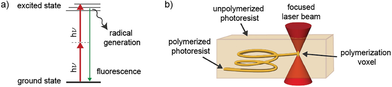 admt202300176-fig-0001-m.jpg