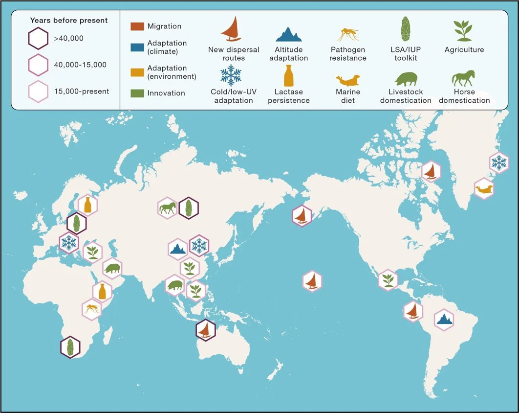 Events-in-Modern-Human-Prehistory-That-Have-Increased-Overall-Population-Fitness-Graphic_jpg_92.jpg