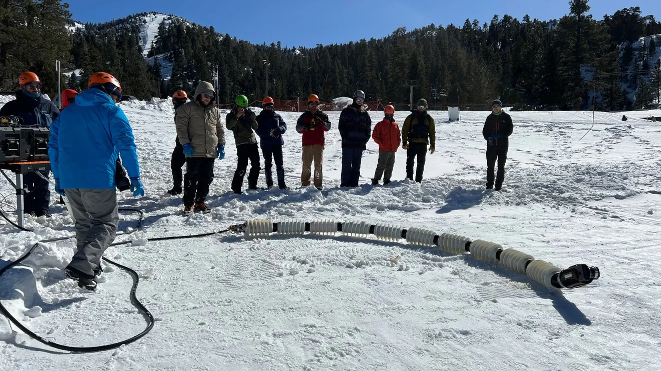 1-EELS_in_snow_with_team_4uPRCyb.width-1320.webp