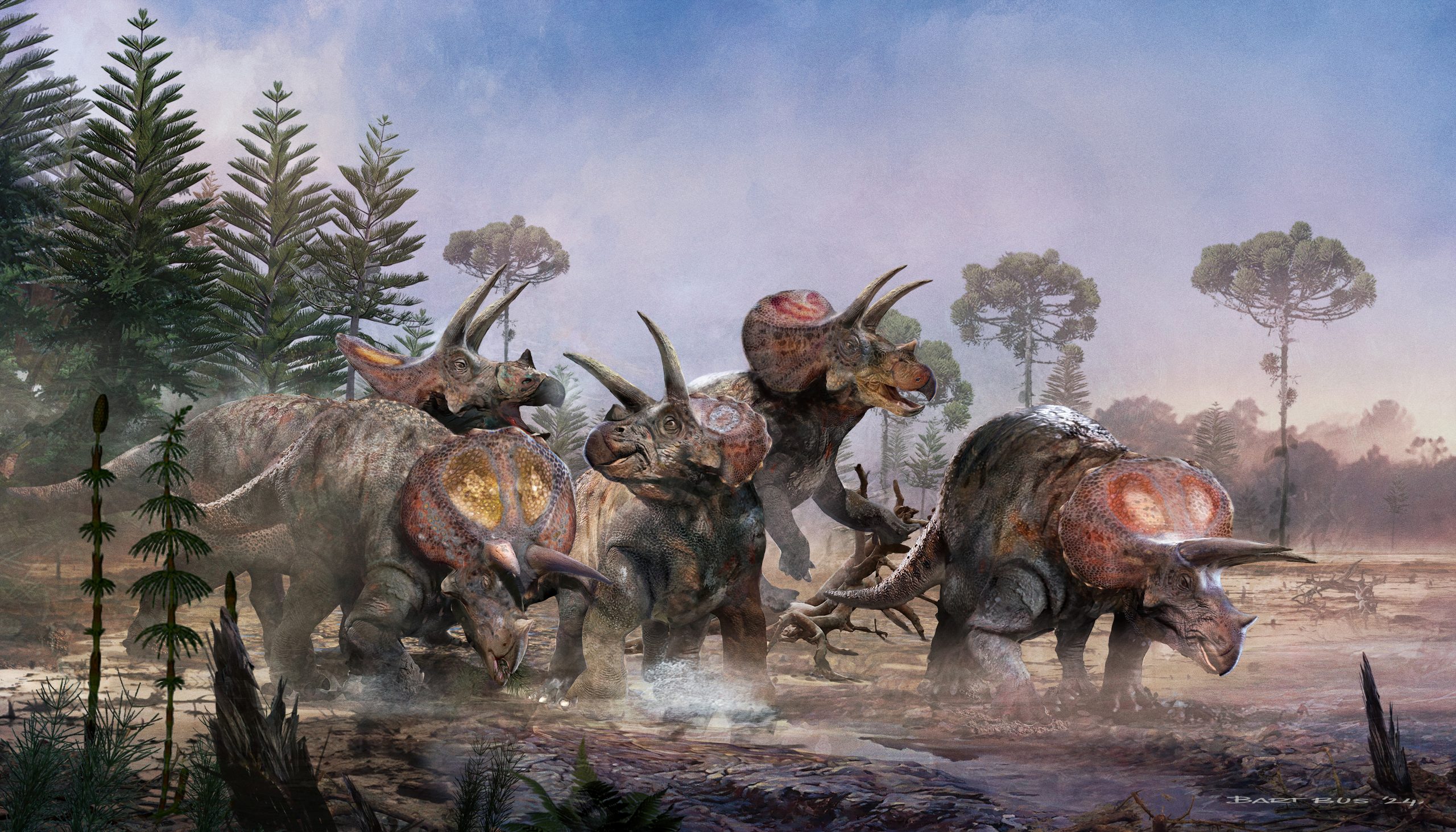 A-Group-of-Triceratops-scaled.jpg