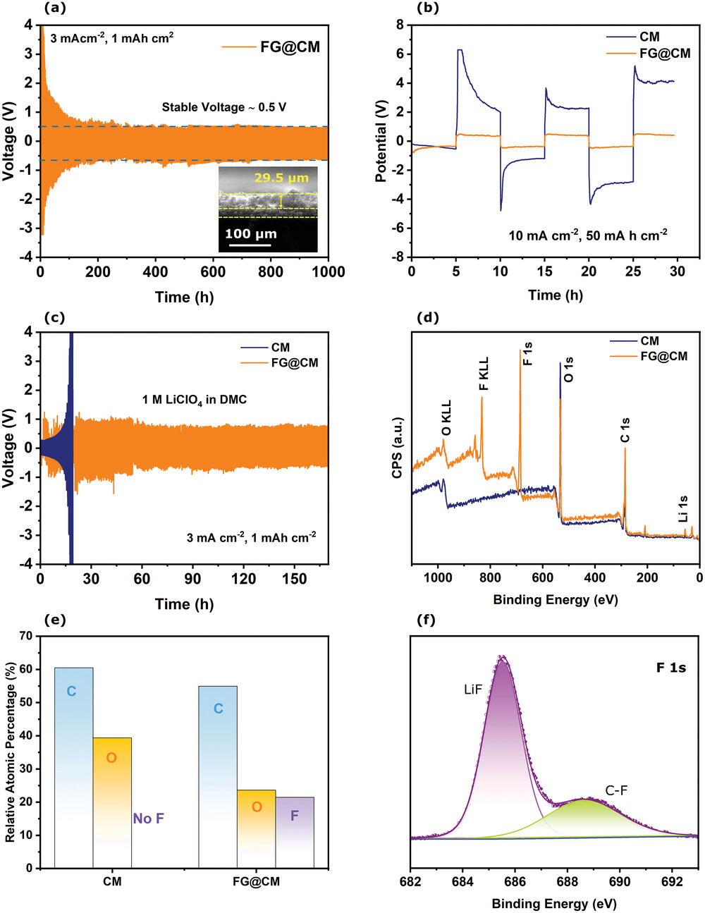 smll202308344-fig-0004-m.jpg