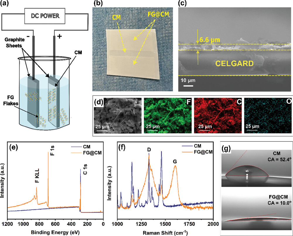 smll202308344-fig-0001-m.jpg