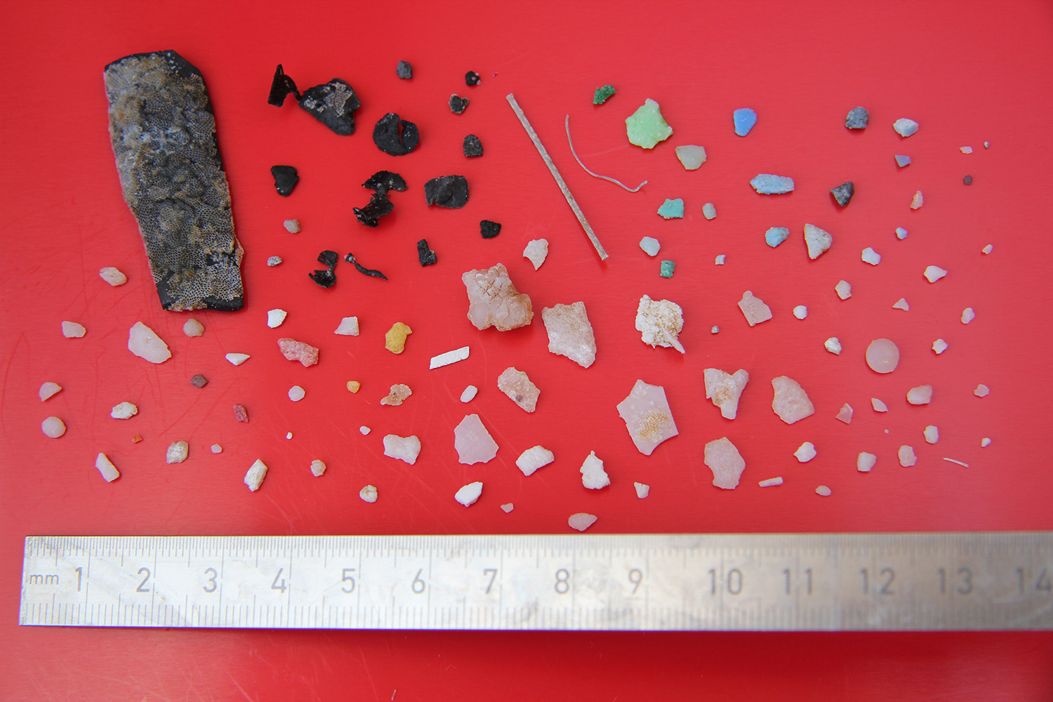 Plastic-Particles-Collected-With-the-Neuston-Net.jpg