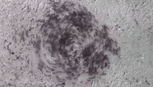 2936f9faa5f343968eb7c80fac369adf.gif
