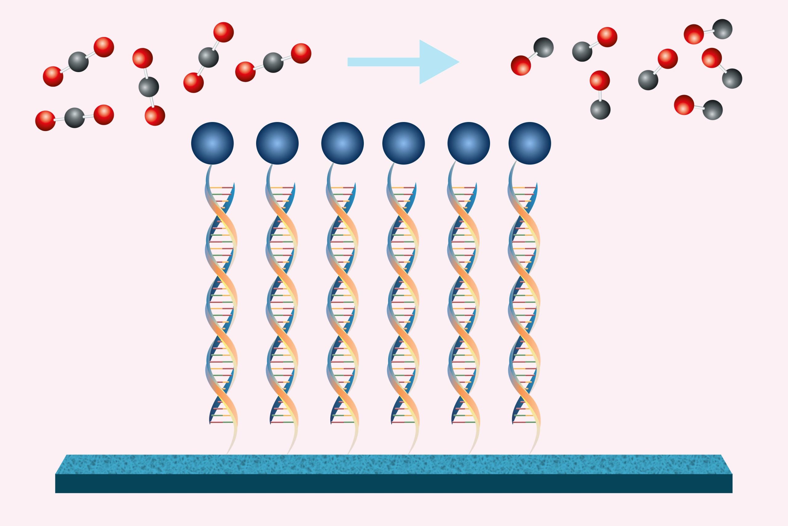 DNA-Efficient-Carbon-Dioxide-to-Carbon-Monoxide-Conversion-scaled.jpg