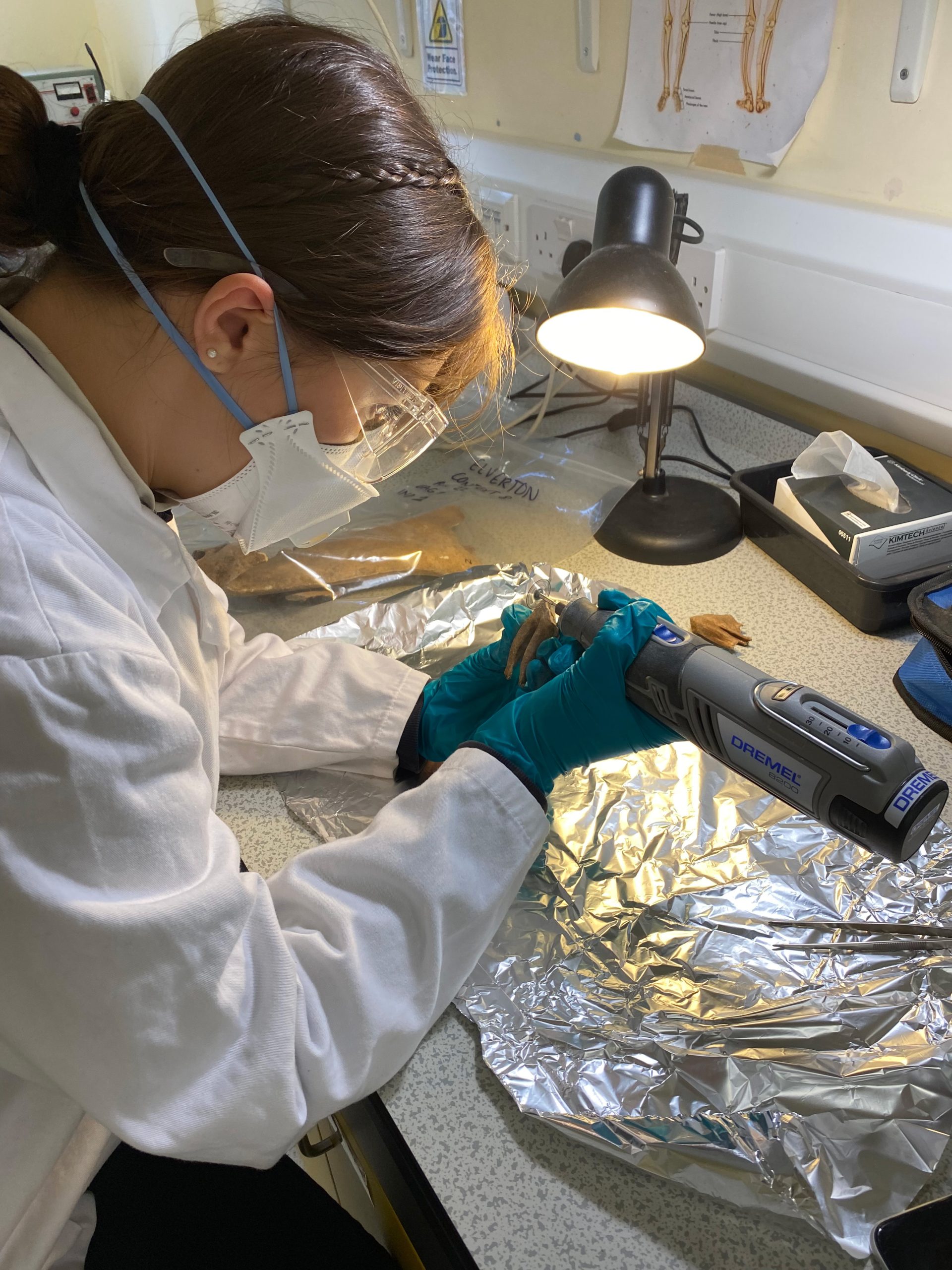 Exeter-Researchers-Analyzing-Bones-Recovered-From-the-Horse-Cemetery-scaled.jpg