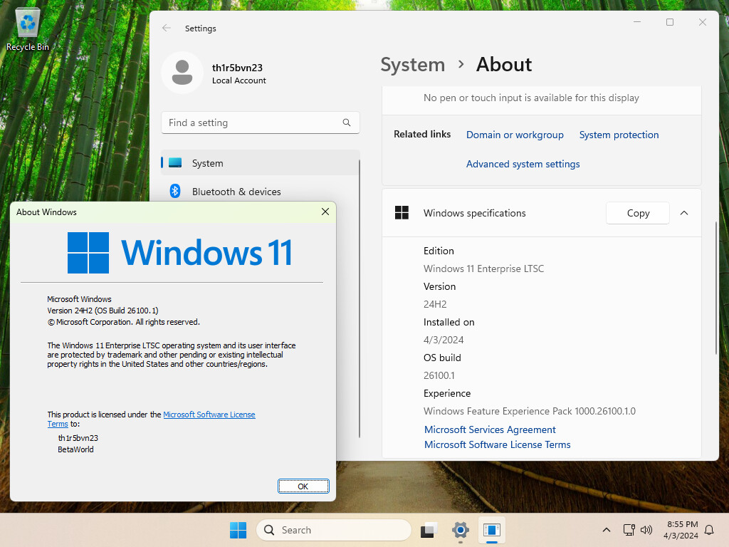 1712250694_windows_11_ltsc.jpg