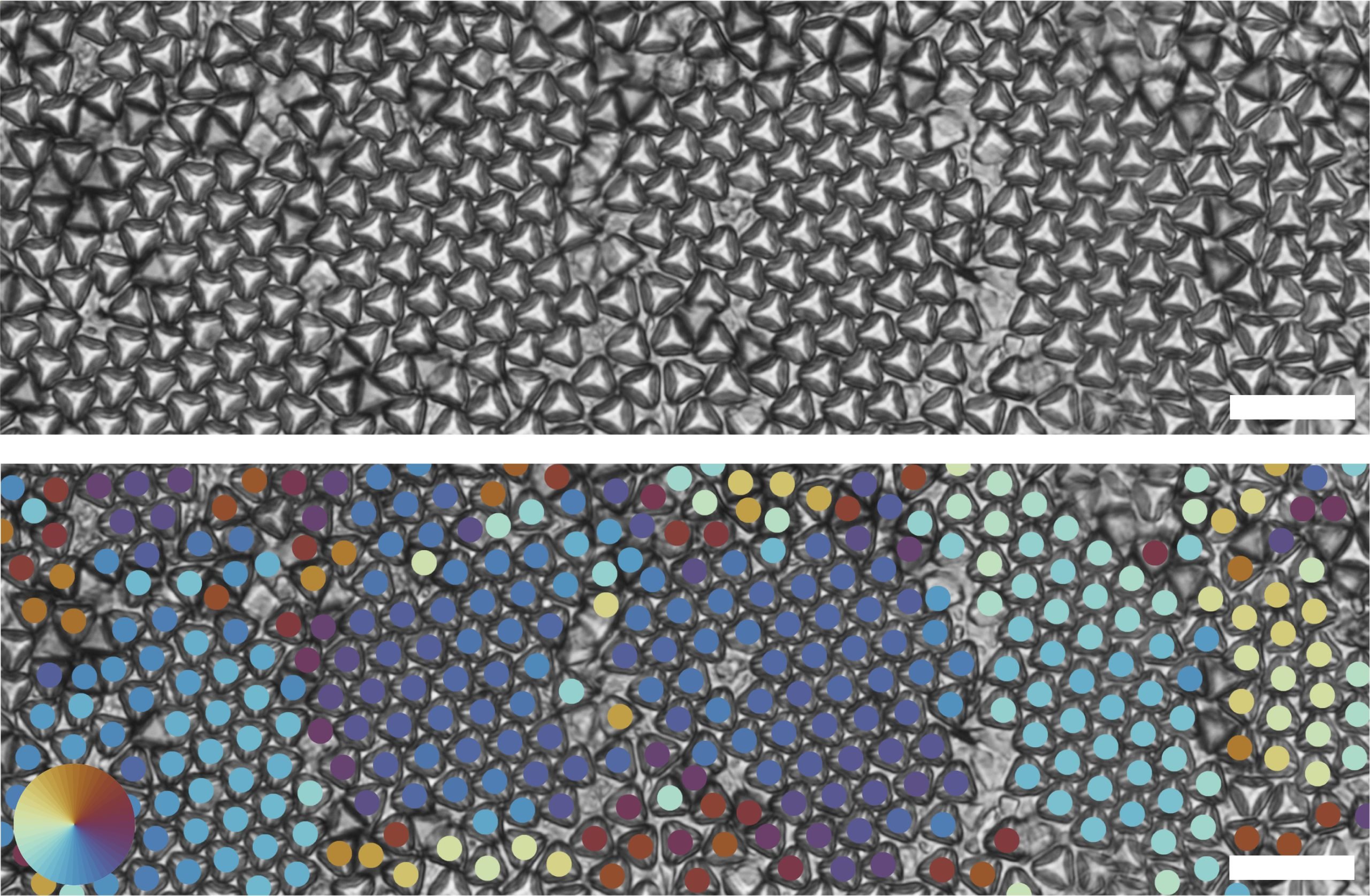 Truncated-Tetrahedrons-scaled.jpg