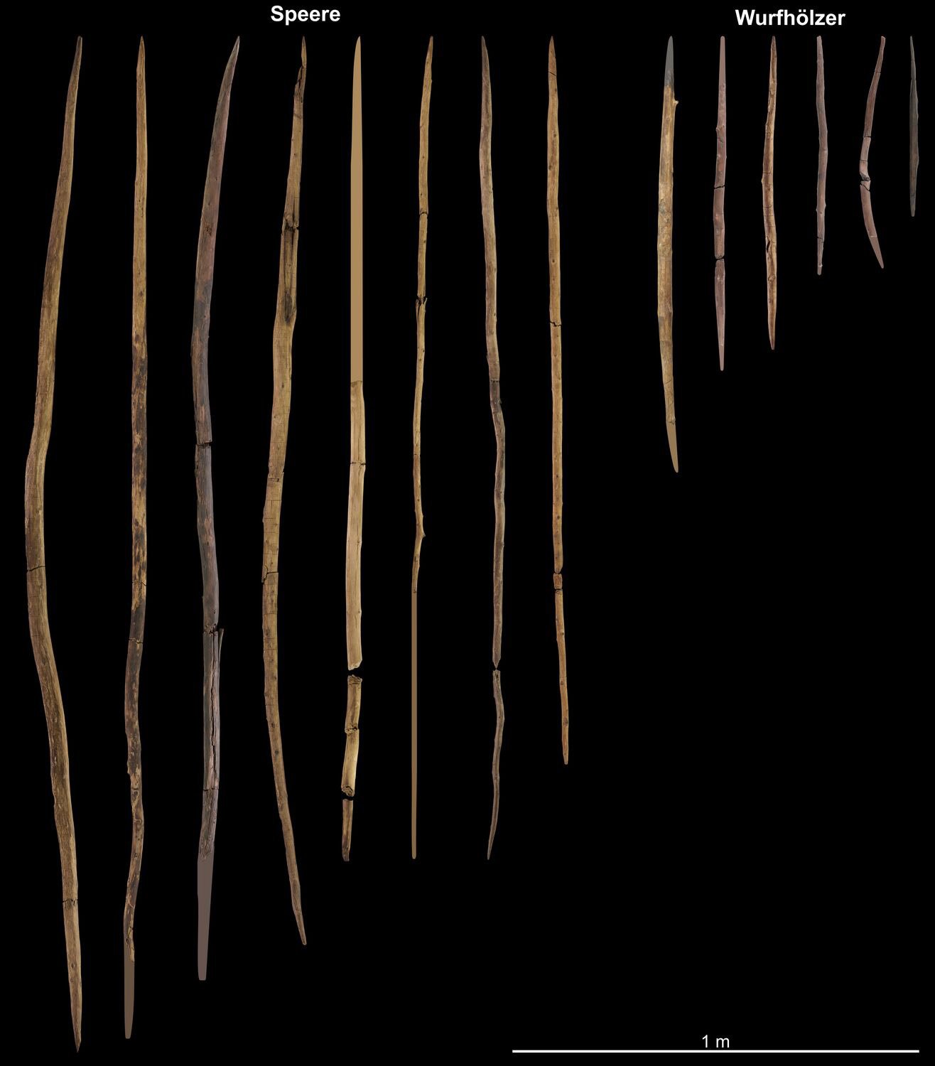 Eight-Spears-and-Six-Throwing-Sticks-From-the-Schoningen-Site.jpg