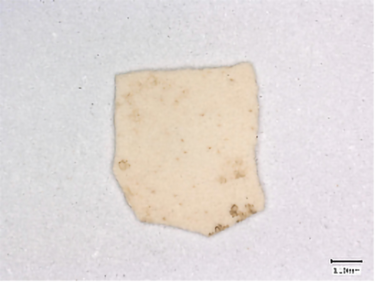 Eggshell-Fragment-From-the-Site-of-Bash-Tepa_jpg_92.jpg