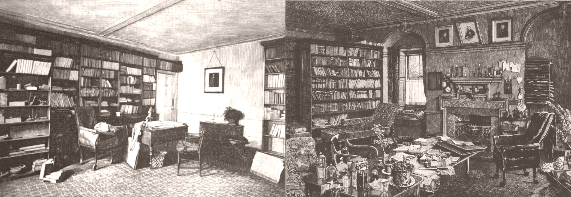 Darwin-Bookcase-Study-Photograph.jpg