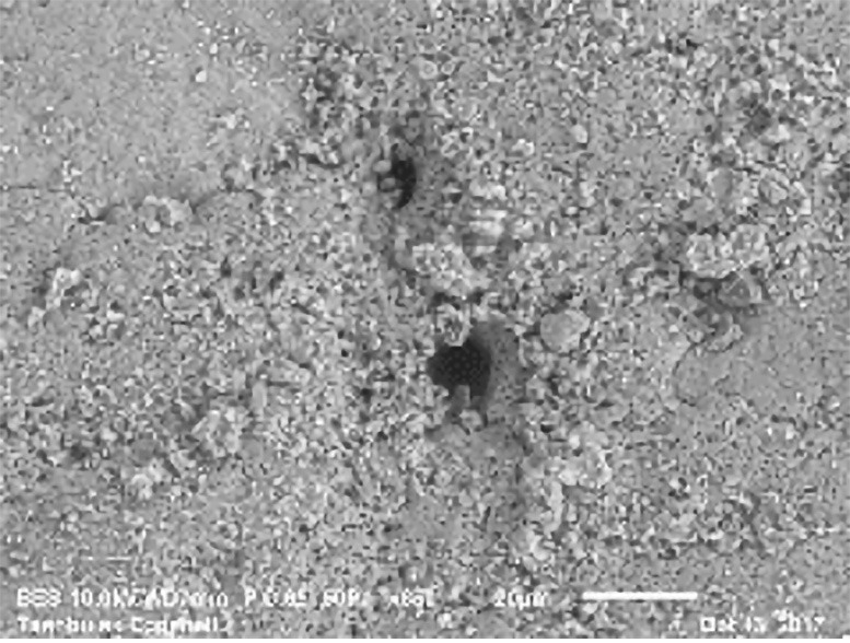 The-Breathing-Pore-of-an-Ancient-Eggshell-Fragment_jpg_92.jpg