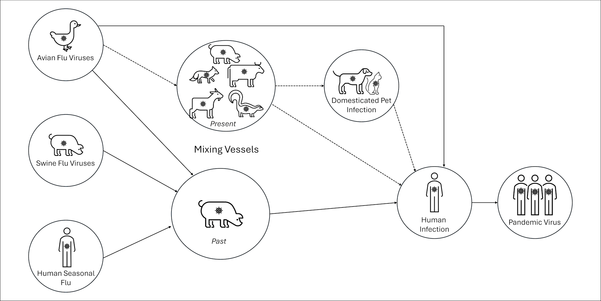 Potential-Pathways-Influenza-Pandemic.png