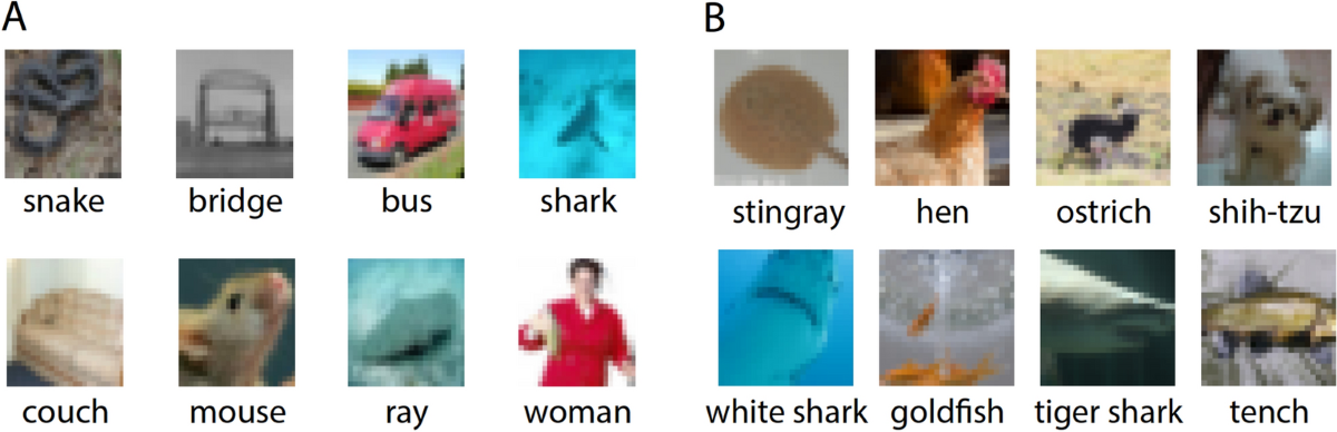41598_2024_56609_Fig2_HTML.png