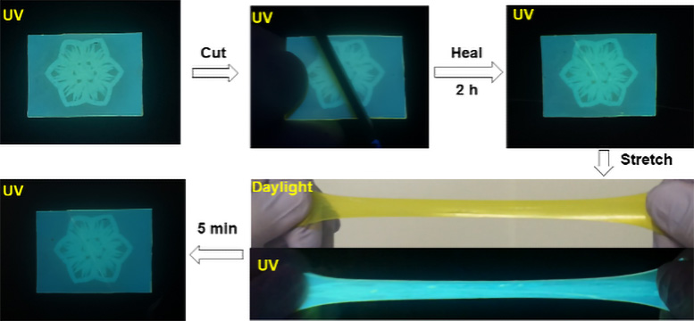 Tough-and-Fluorescent-Self-Healing-Material.jpg