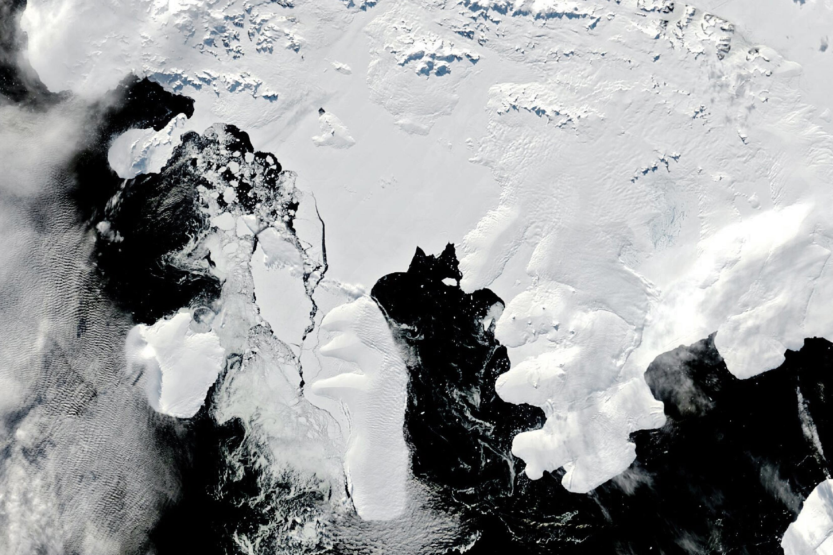 Wilkins-Ice-Shelf-March-2024.jpg