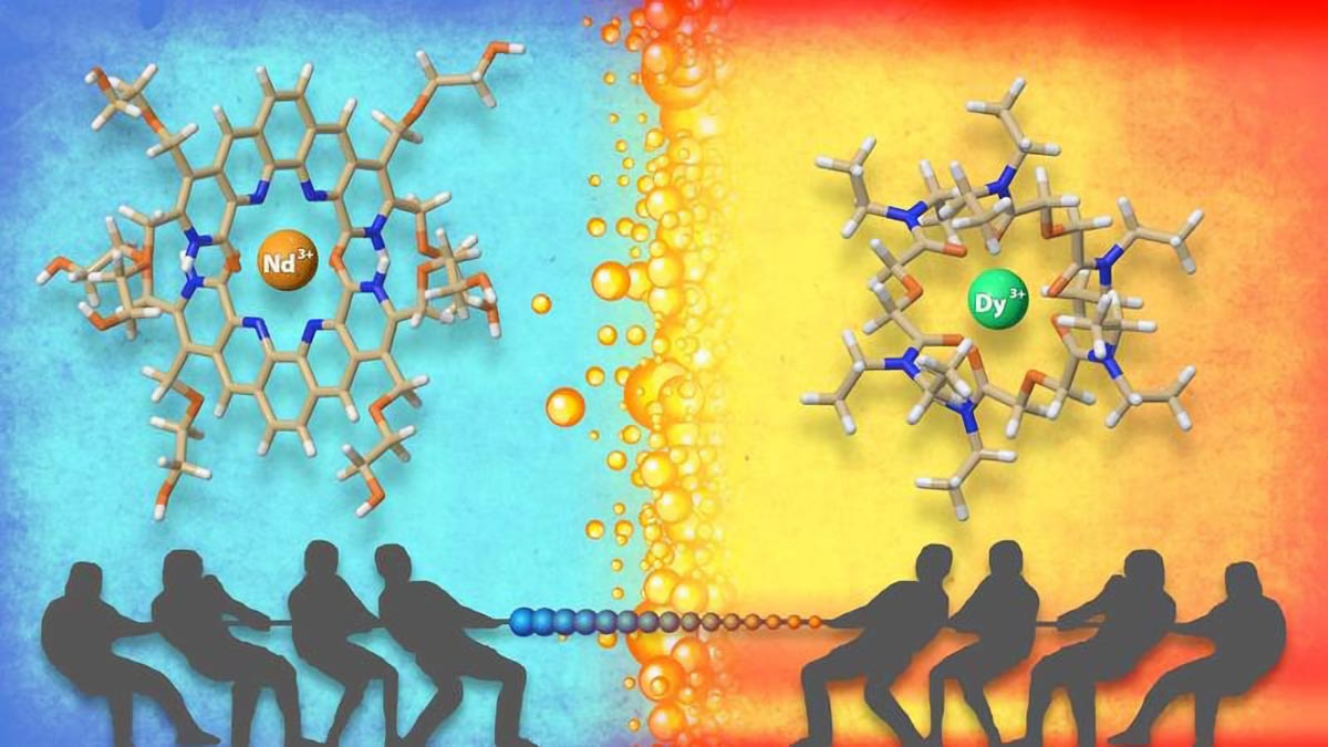 Tug-of-War-Tactic-Enhances-Chemical-Separations-for-Critical-Materials.jpg