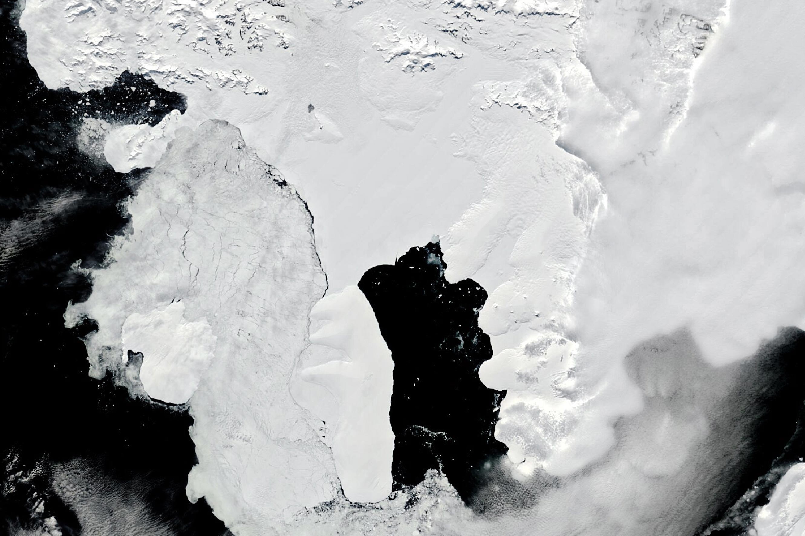 Wilkins-Ice-Shelf-January-2024.jpg
