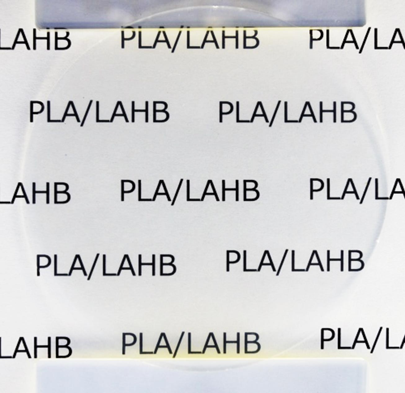 LAHB-Transparency.jpg