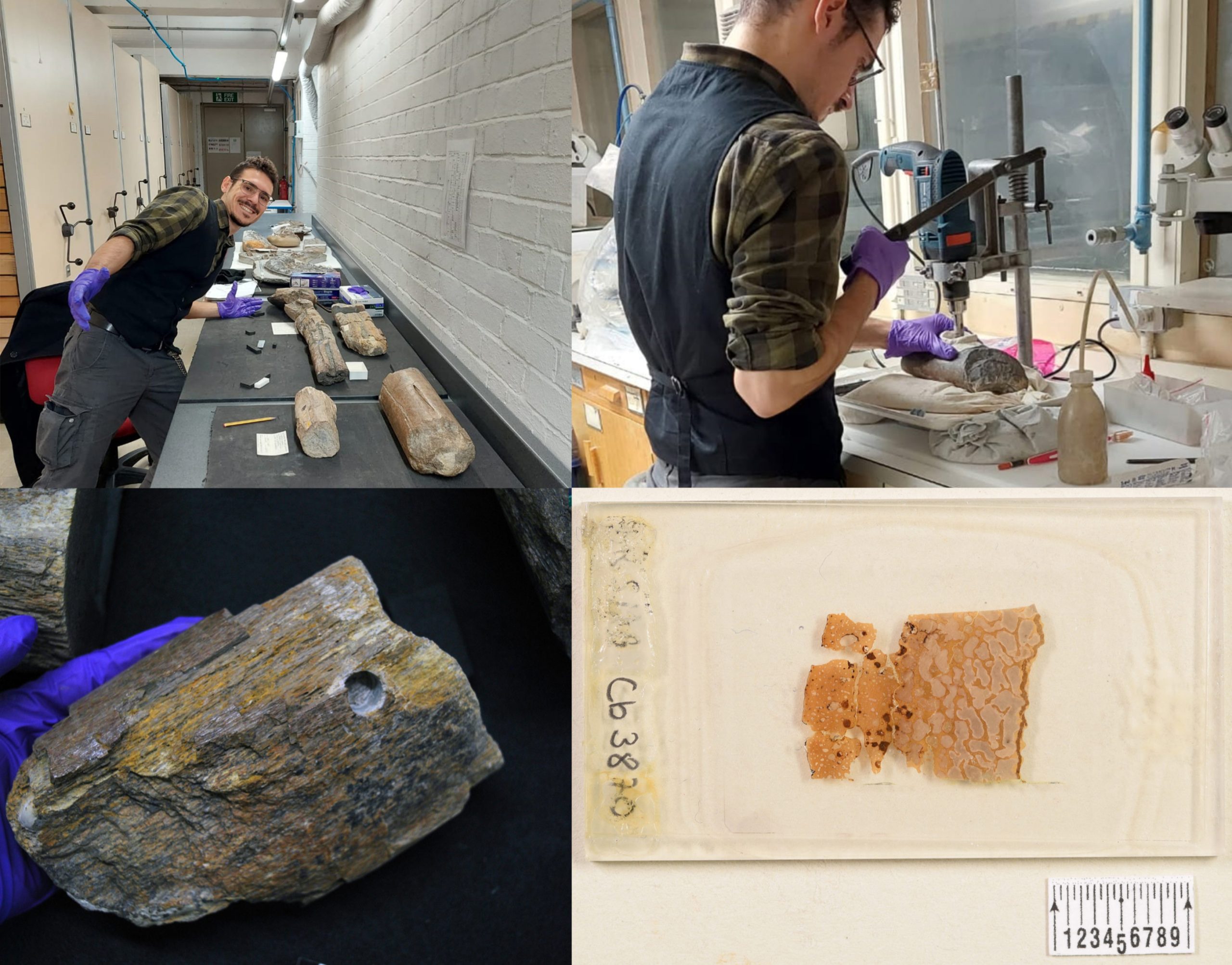 Ichthyosaur-Fossil-Bones-Modified-Drill-scaled.jpg