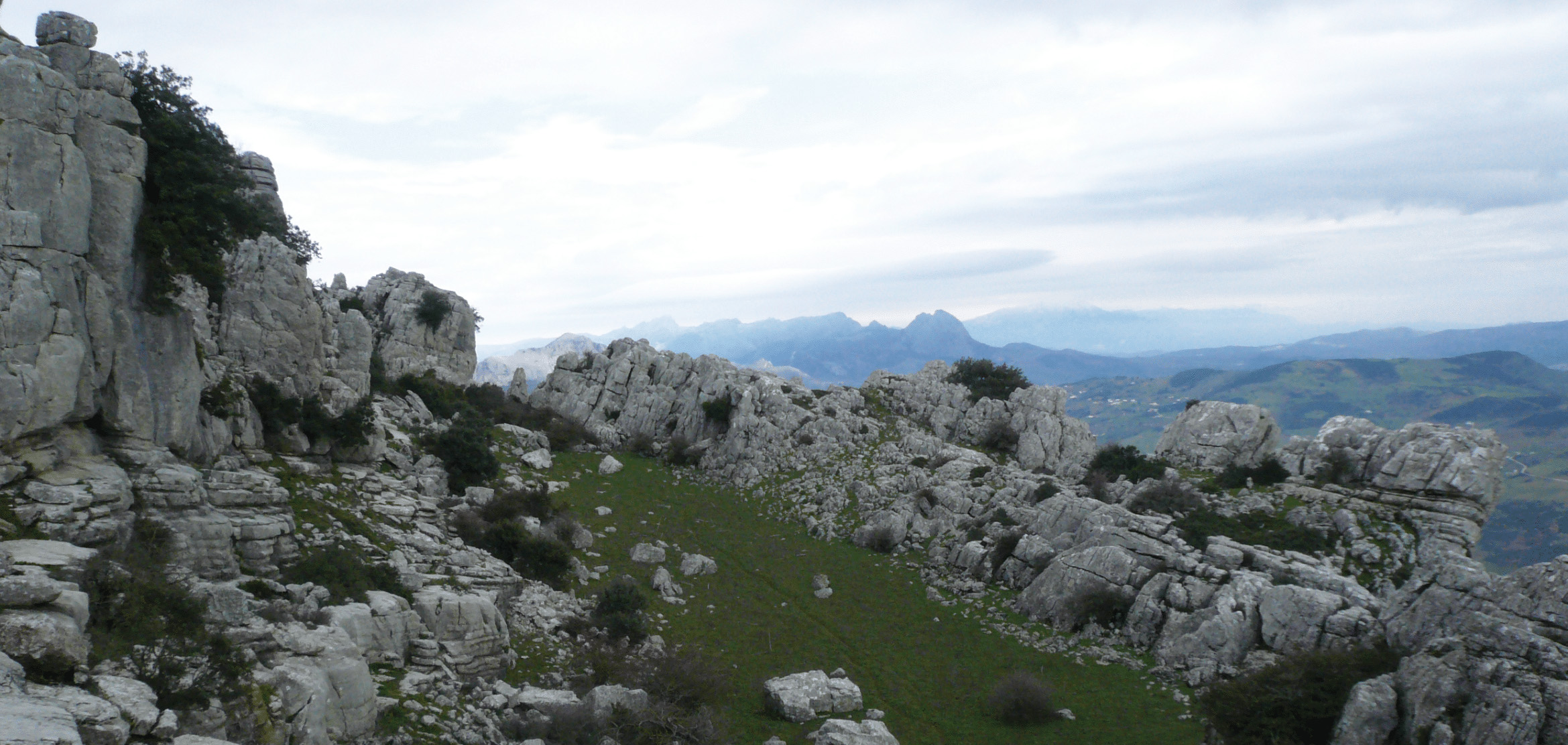 Natural-Environment-of-the-El-Toro-Cave.jpg