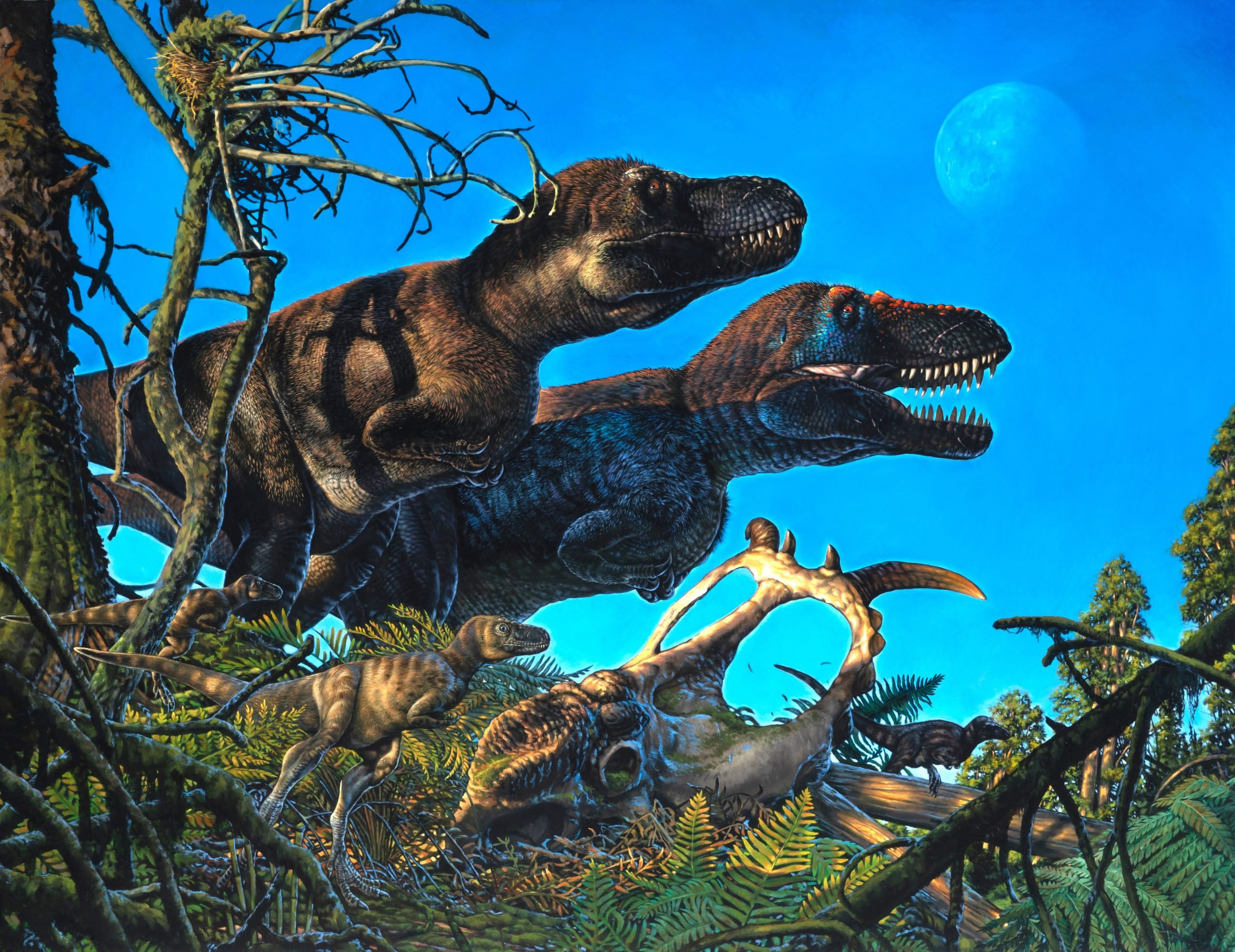 Arctic-Dinosaurs-Illustration-scaled.jpg