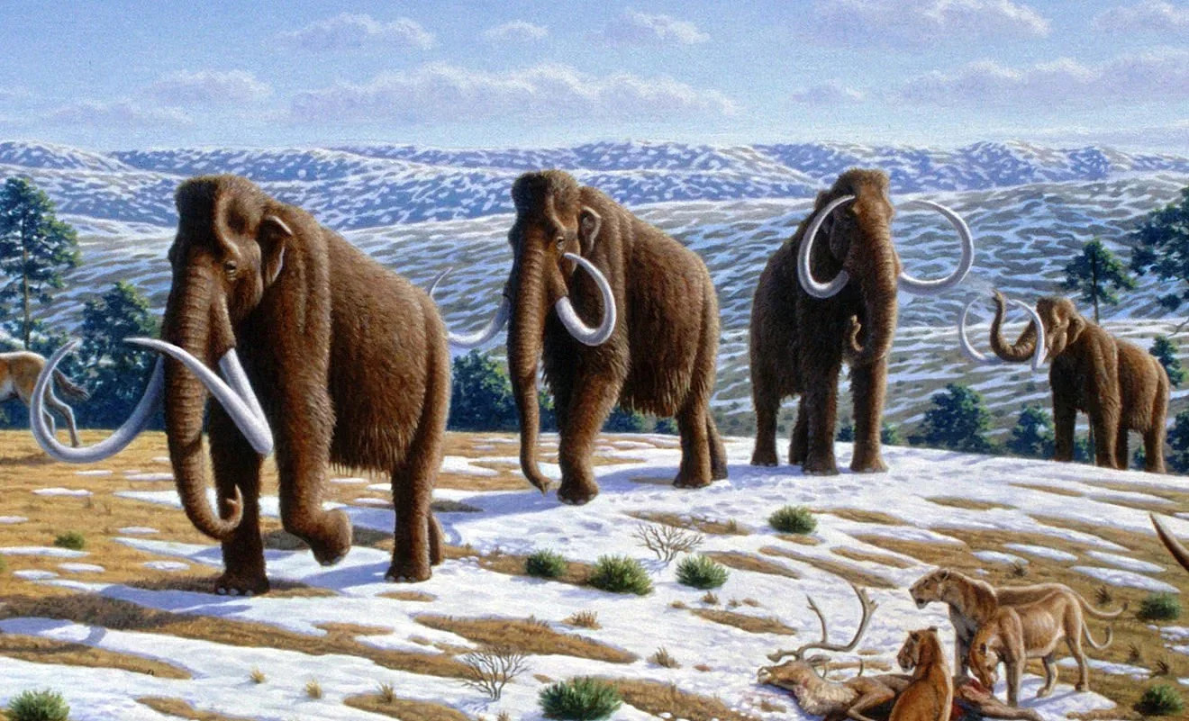 Woolly-Mammoths-in-Northern-Spain_jpg_92.jpg