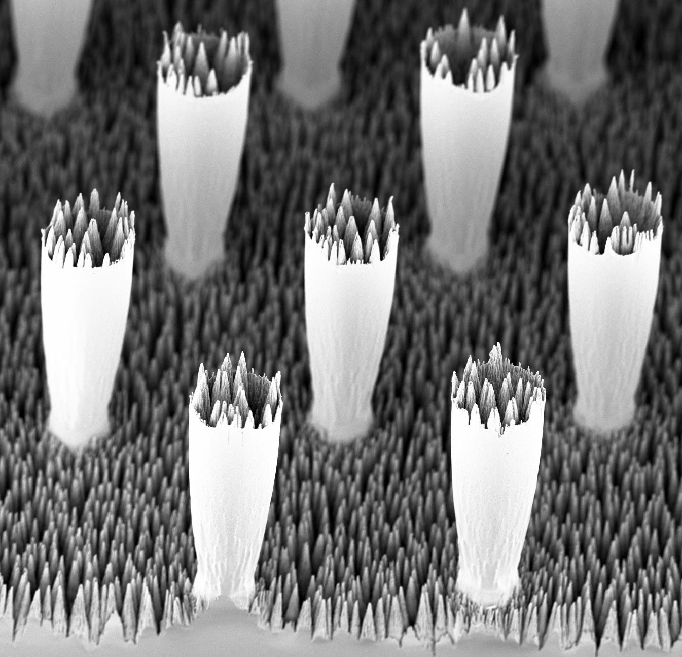 Pillars-on-Black-Silicon-Surface.jpg