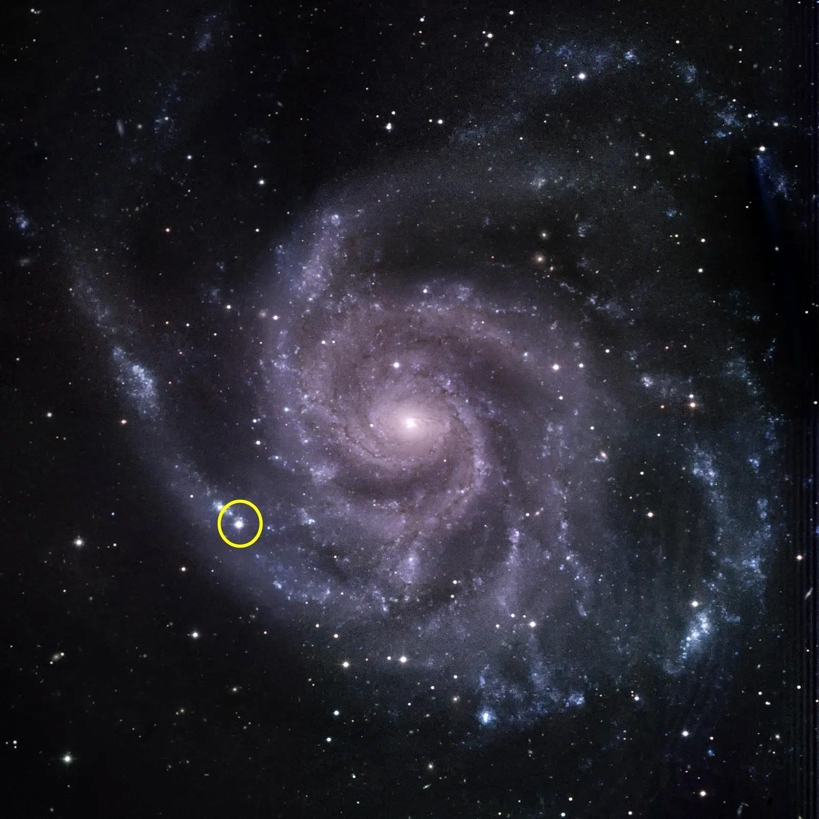 Pinwheel-Galaxy-Supernova-2023ixf.jpg