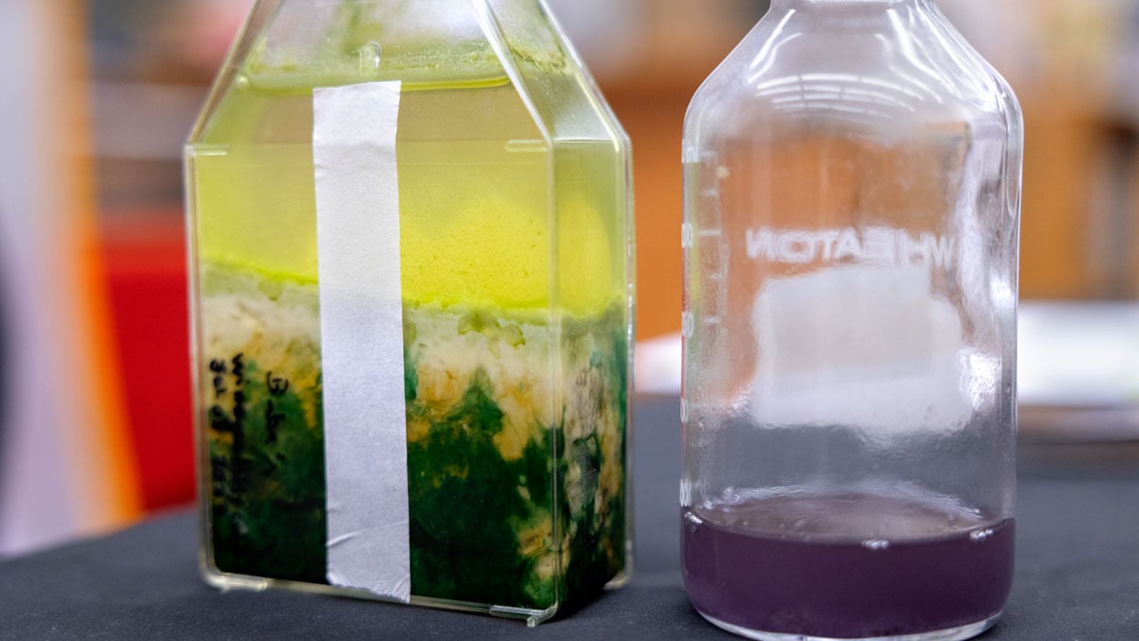 Purple-Bacteria-Vial.jpg