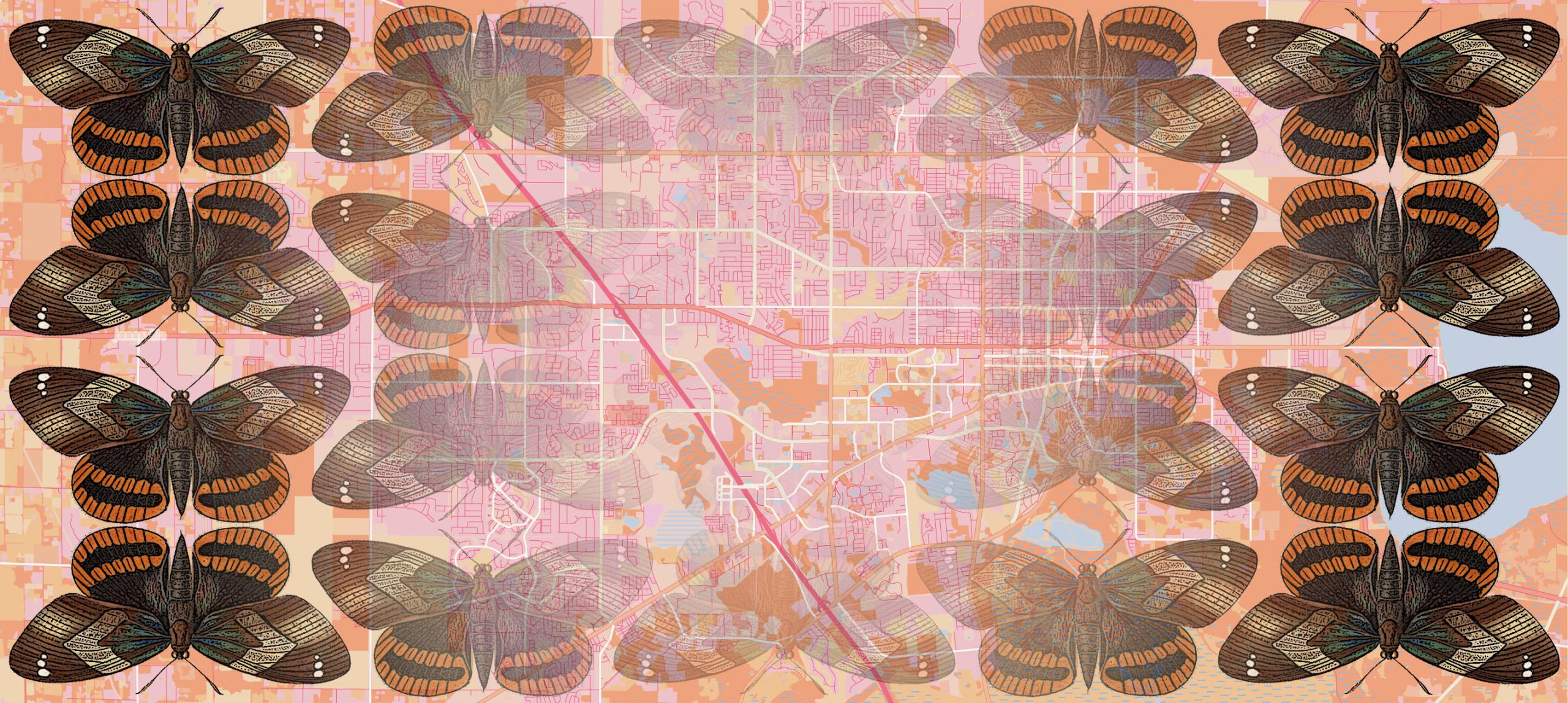 Moth-City-Graphic-scaled.jpg