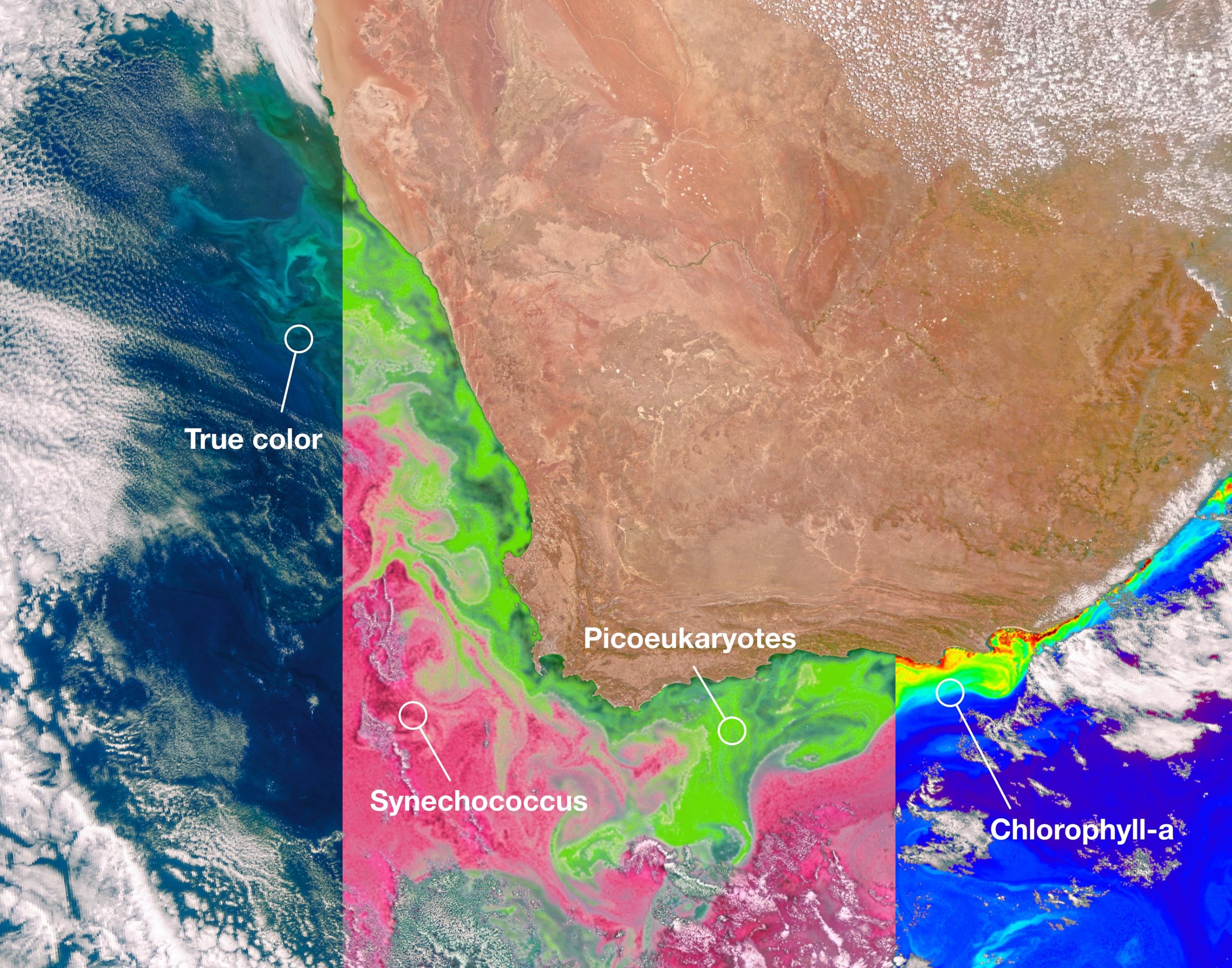NASA-PACE-Satellites-Ocean-Color-Instrument-Hyperspectral-Range-scaled.jpg
